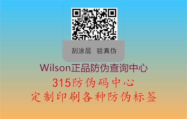 Wilson正品防伪查询中心2.jpg