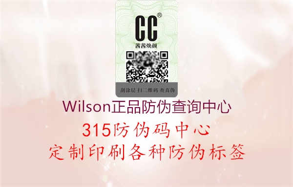 Wilson正品防伪查询中心1.jpg