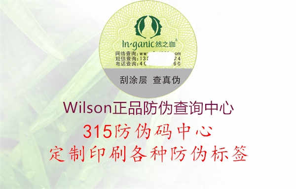 Wilson正品防伪查询中心3.jpg