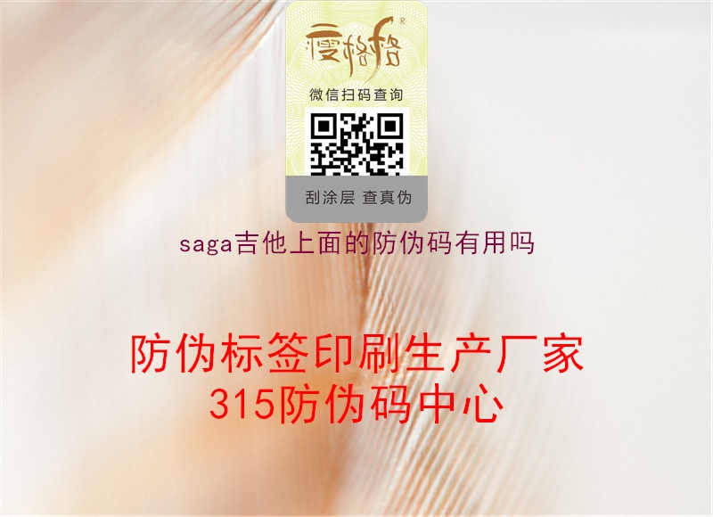 saga吉他上面的防伪码有用吗2.jpg