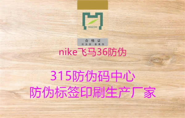 nike飞马36防伪1.jpg