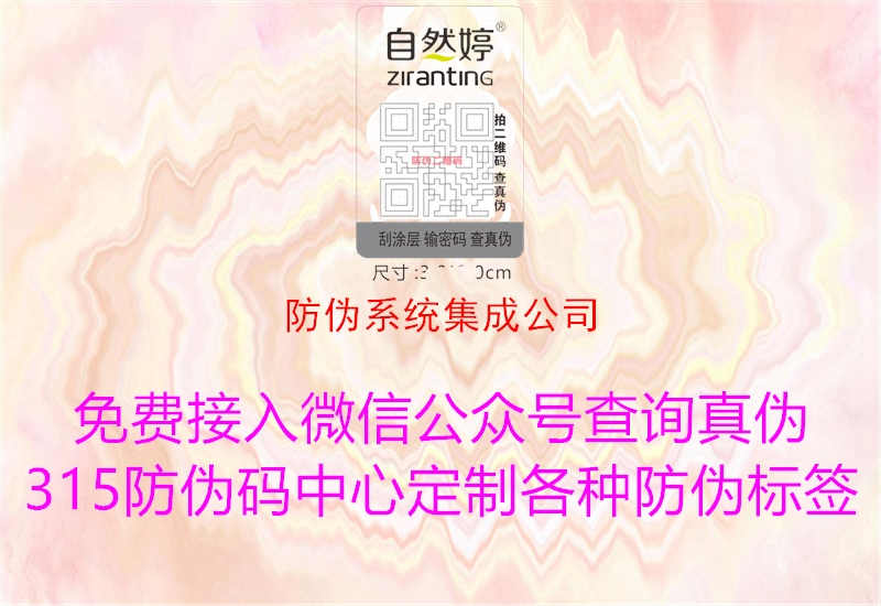 防伪系统集成公司1.jpg