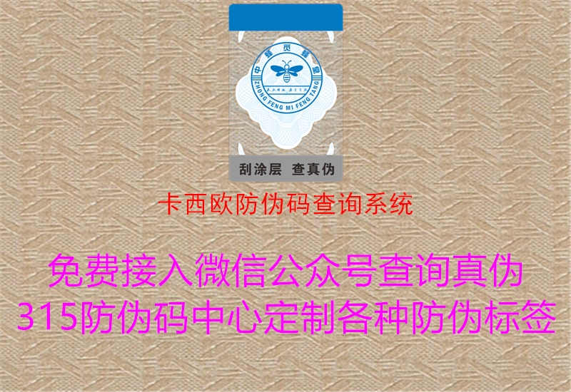 卡西欧防伪码查询系统1.jpg