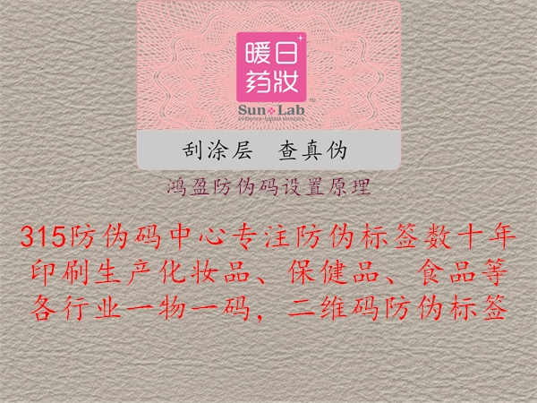 鸿盈防伪码设置原理：了解防伪技术原理与应用2.jpg